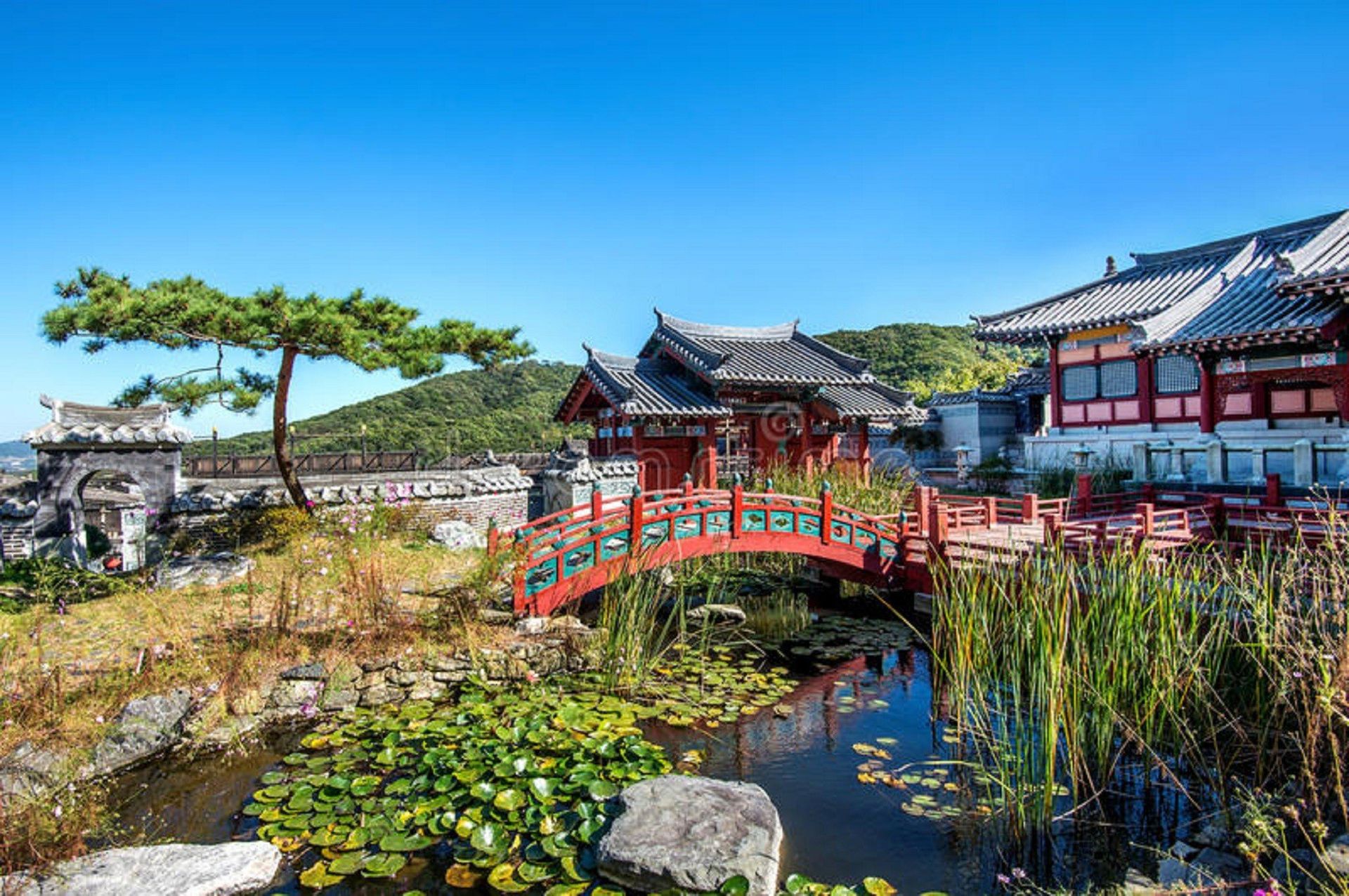 Korea Trip